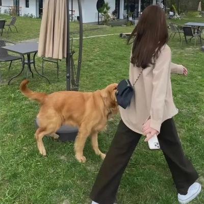 甜心战士:眼泪